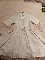 Tommy hilfiger Damen Kleid Frankfurt am Main - Bockenheim Vorschau