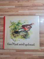 DDR Kinderbuch Ein Nest wird gebaut Mecklenburg-Vorpommern - Wismar Vorschau