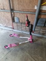 Swing Scooter Nordrhein-Westfalen - Kaarst Vorschau