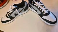 Nike Air Ebernon 44 Neu Bayern - Ingolstadt Vorschau