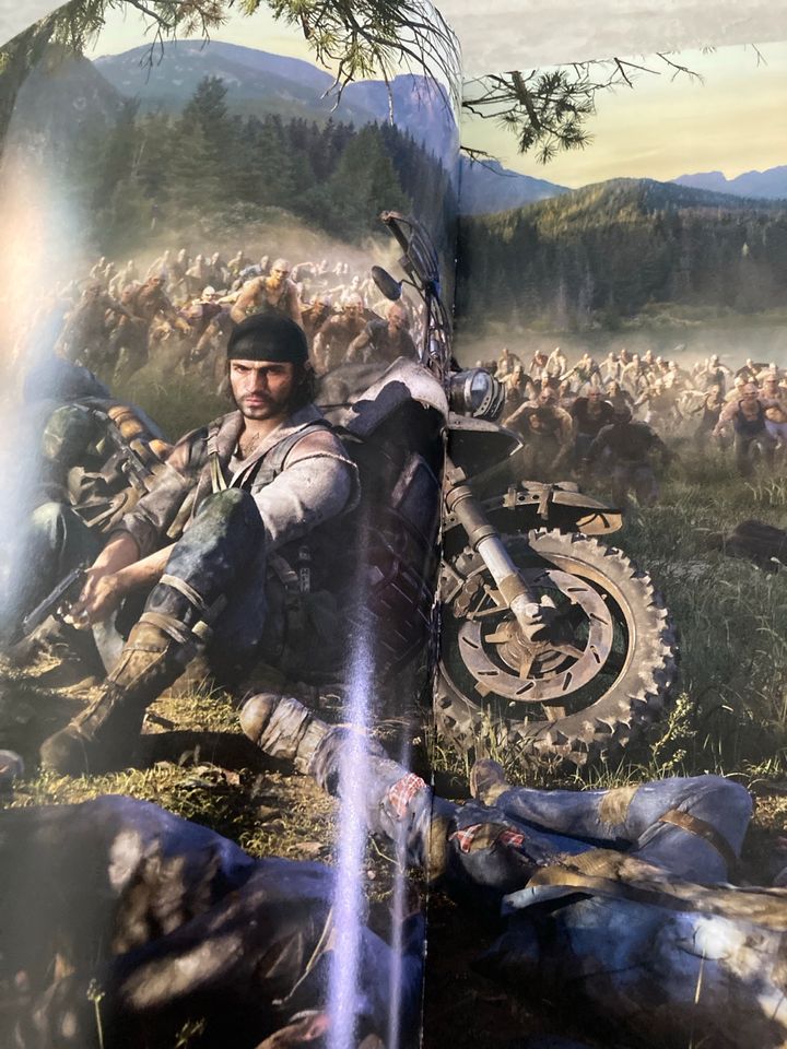 Buch The Art of DAYSGONE in Erfurt