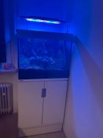 Aquarium/Terrarium Eheim Incpiria 230 L Baden-Württemberg - Donzdorf Vorschau