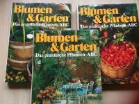 Blumen und Garten. Das Praktische Pflanzen- ABC. Rheinland-Pfalz - Mayen Vorschau