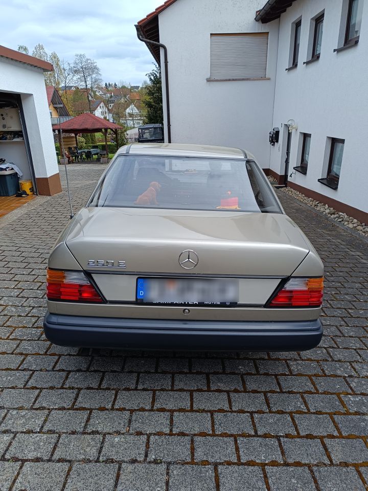 Mercedes 260e in Hosenfeld