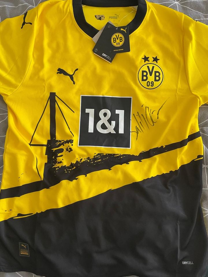 Borussia Dortmund Trikot von Salih Özcan unterschrieben! in Salzgitter