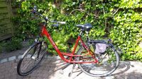 Gudereit Fantasy Premium / City Fahrrad / 53er New Wave Rahmen Geestland - Langen Vorschau