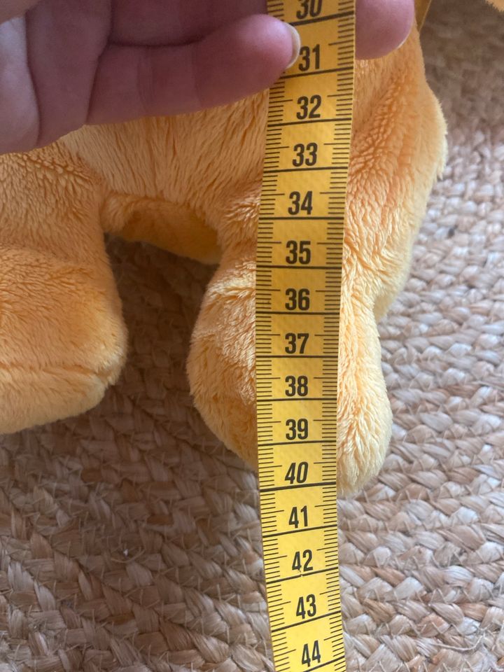 Winnie Pooh Bär  40cm Top Zustand neuwertig und Lichterkette in Eschweiler