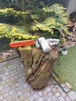 Kettensäge Stihl MSE 160 C Nordrhein-Westfalen - Xanten Vorschau