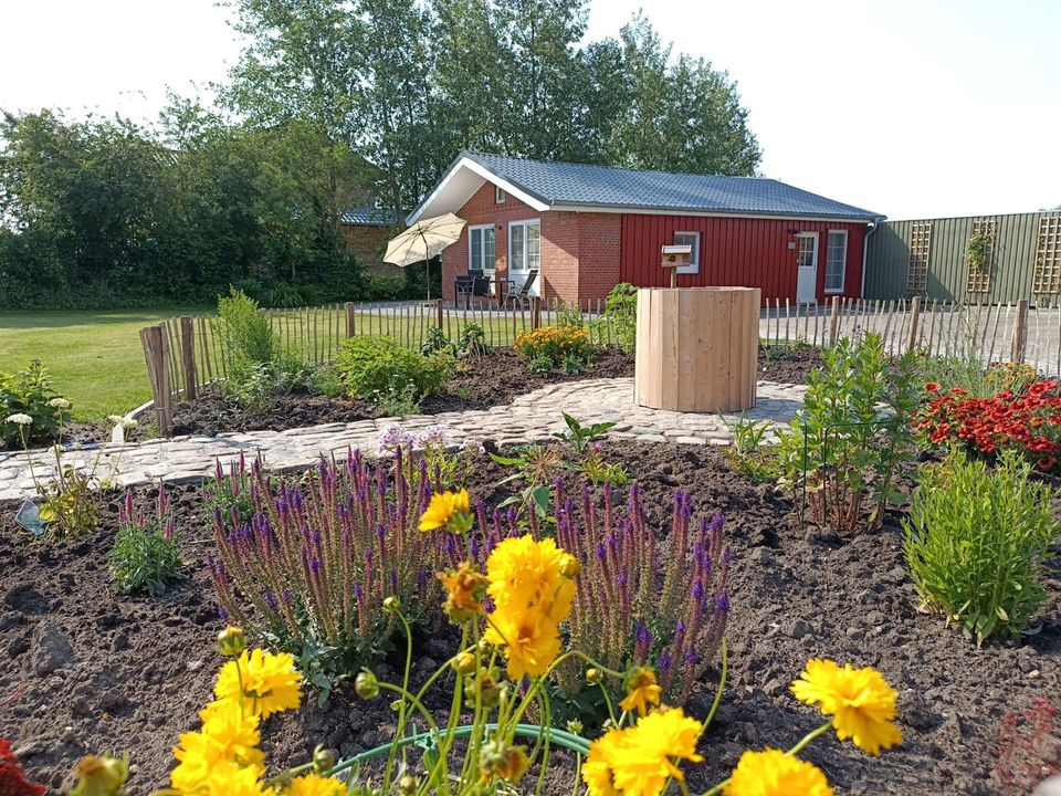 Ferienhaus "Wattschnecke" an der Nordseeküste in Bohmstedt