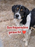 Sachspenden gesucht Bayern - Dillingen (Donau) Vorschau