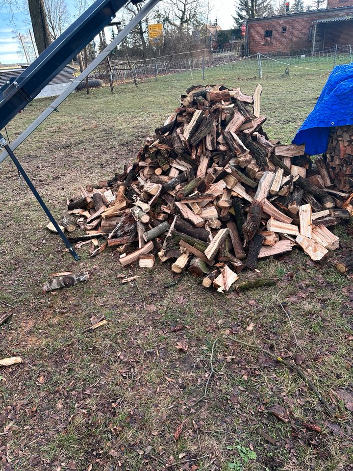 Sägespaltautomat, Brennholz, Holz in Tauche