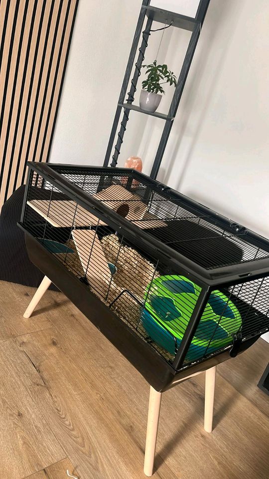 Hamster Käfig Modern, mit ganz ganz viel Zubehör in Neusäß