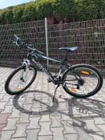 Fahrrad_Gebraucht Baden-Württemberg - Schwieberdingen Vorschau