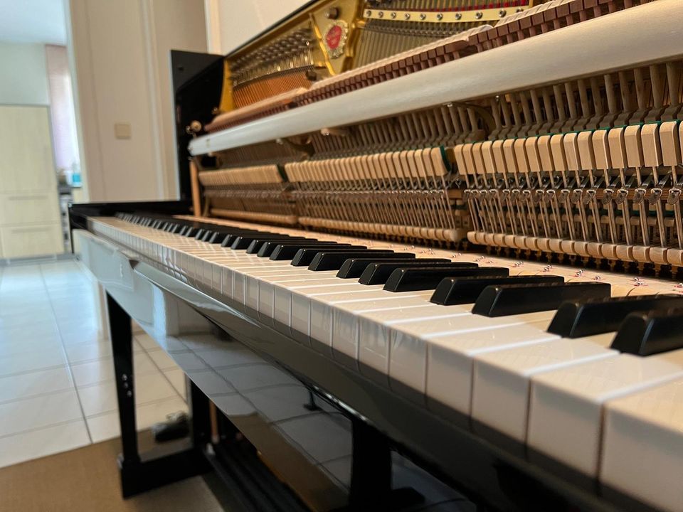 Schimmel Klavier 118 T in Beelen