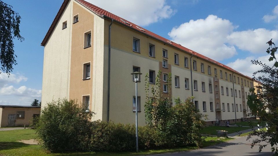 Schöne 2-Raum-Wohnung in ländlicher Lage in Grammendorf in Wendisch Baggendorf