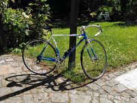 Vintage Rennrad - frisch gewartet und fahrbereit! Berlin - Zehlendorf Vorschau