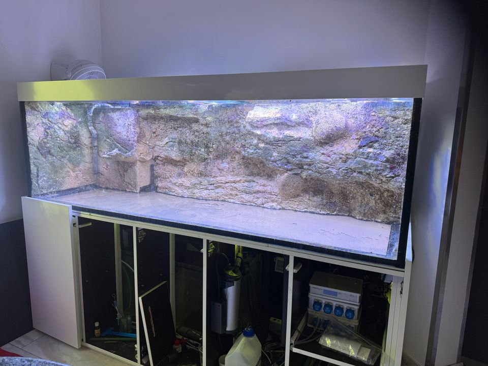 Aquarium 200x70x60 cm 840 Liter Weißglas optiwhite mit Rückwand in Marl