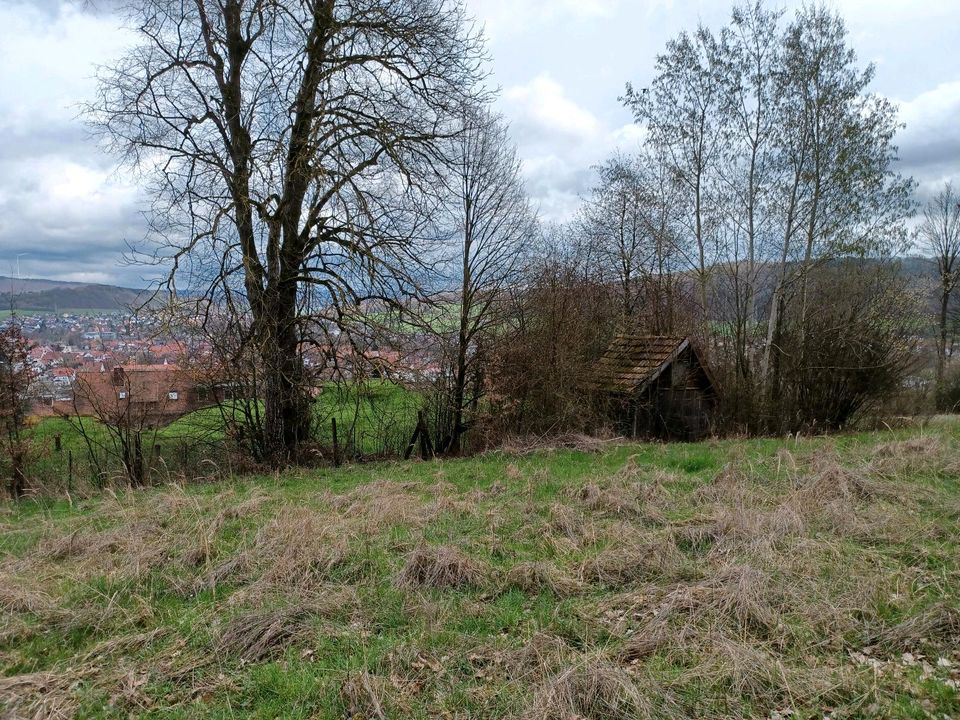 Baugrundstück in Schlüchtern  von Privat in Sinntal