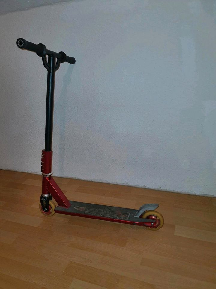 Stunt scooter, Chilli Pro Scooters, Roller in Marl