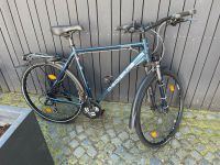 Herren City Bike - Checker Pig Nordrhein-Westfalen - Mettmann Vorschau