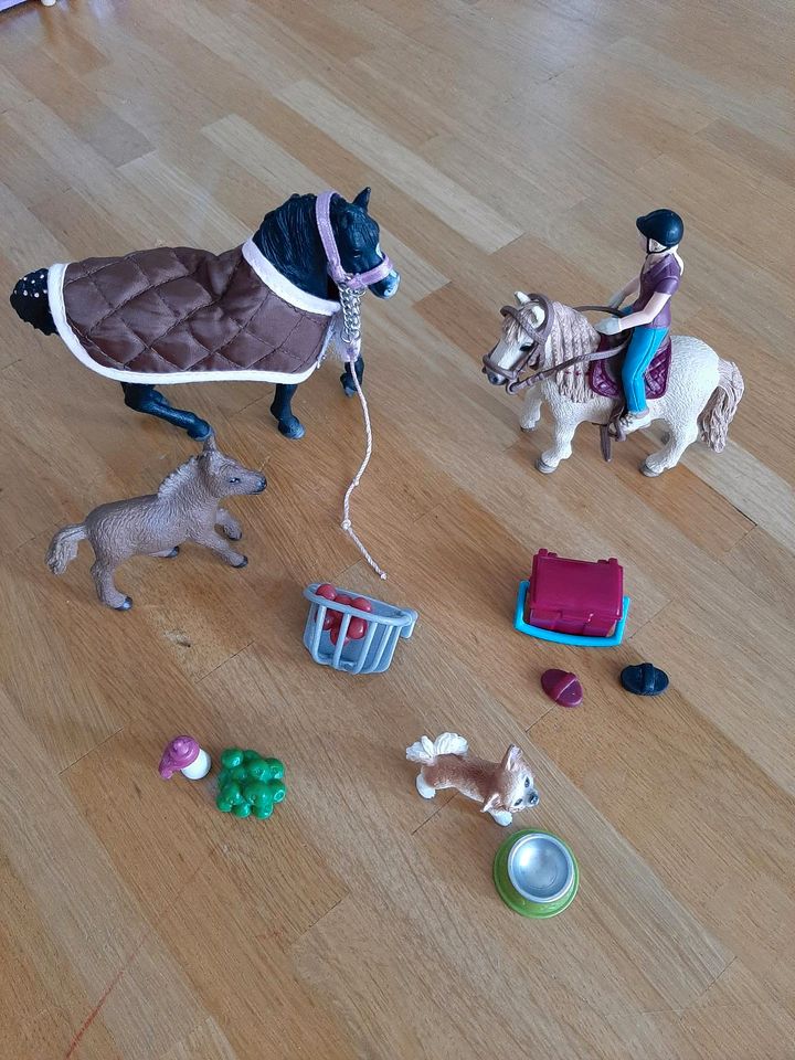 Schleich Pferde Set in Lünen