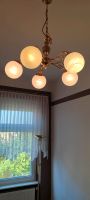 Wohnzimmer Lampe Dresden - Cossebaude Vorschau