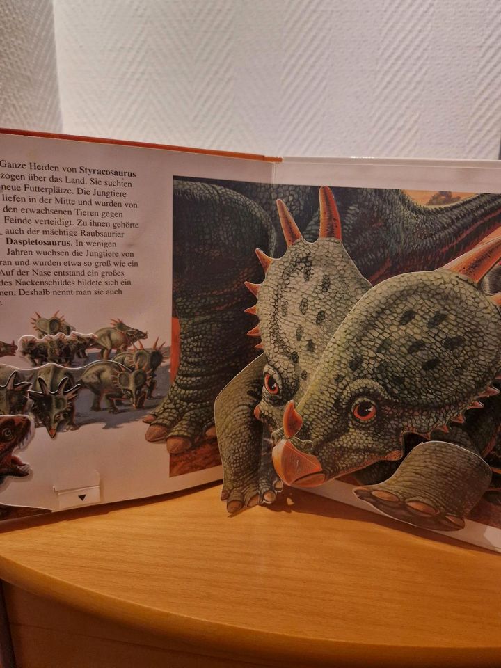 Pop Up Buch Dinosaurier und ihre Jungen National Geographic Popup in Oberhausen