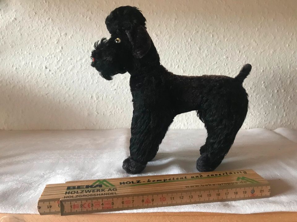 Pudel STeiff 70er Jahre original in Sölden