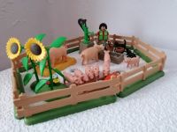 Playmobil Bauernhof Ergänzung Schweinepirk Hessen - Schmitten Vorschau