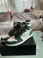 Nike Jordan 1 High OG George Green - Top Zustand Rheinland-Pfalz - Mainz Vorschau