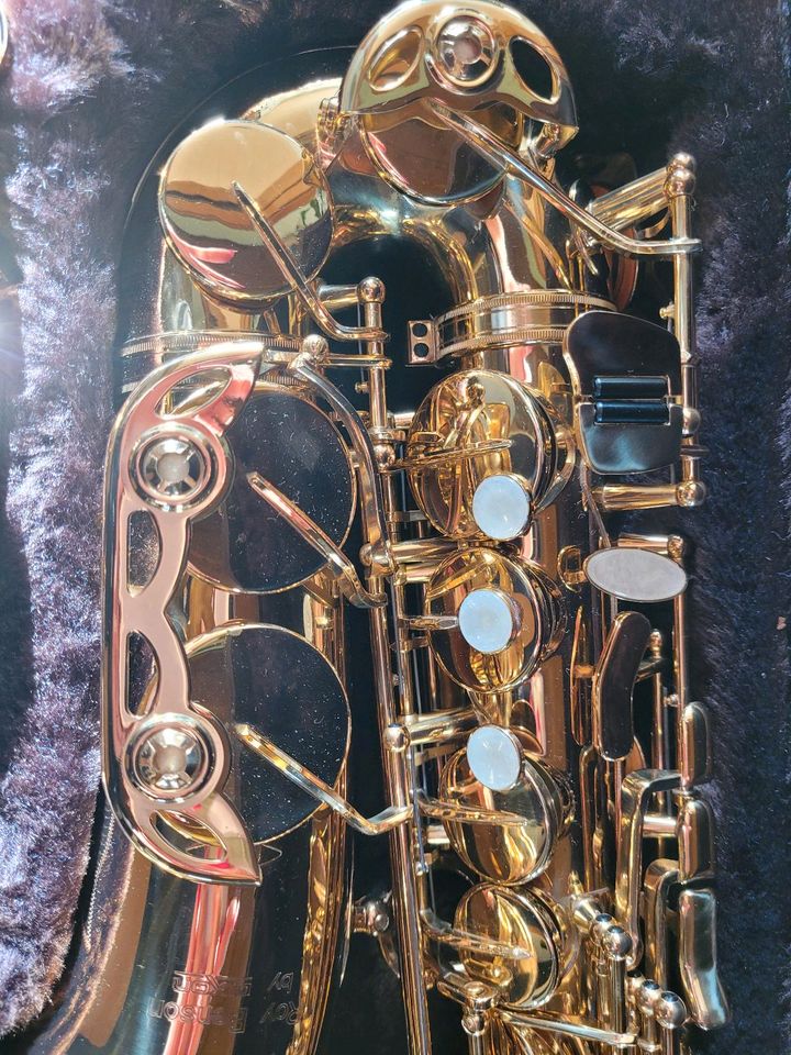 Saxophon der Marke Roy Benson in Ehingen (Donau)