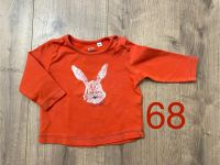 TOM TAILOR, Bonjour le Lapin, Hase, Baby Longsleeve, Langarmshirt Rheinland-Pfalz - Mainz Vorschau