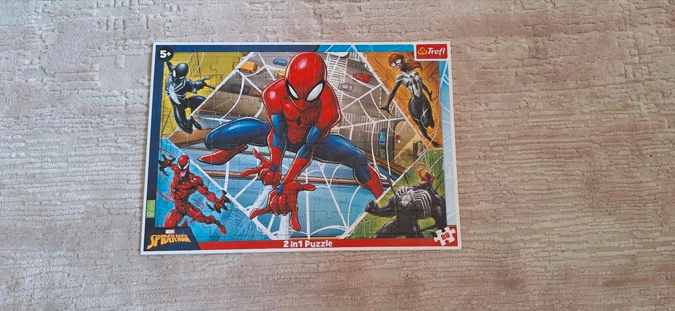 Spidermann Puzzel in Geesthacht