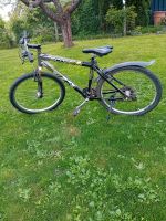 Fahrrad 26 Zoll Bayern - Gesees Vorschau