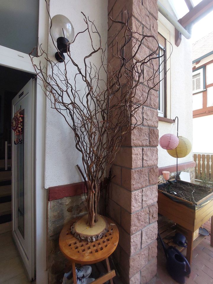 Dekobaum Baum Wunschbaum NP 99€ in Butzbach