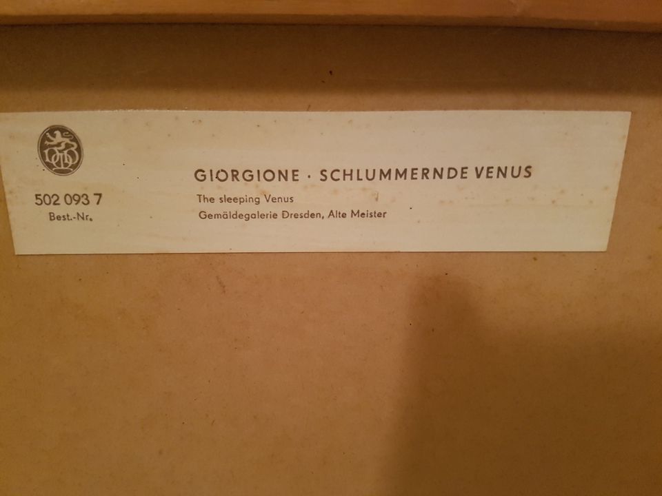 Bild "Schlummernde Venus" in Dresden