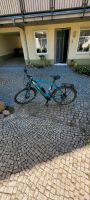 EBIKE Cube Hybrid ONE 500 Sachsen-Anhalt - Burg Vorschau