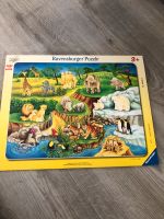 Ravensburger Puzzle Zoobesuch ab 3 Jahre Hemelingen - Sebaldsbrück Vorschau