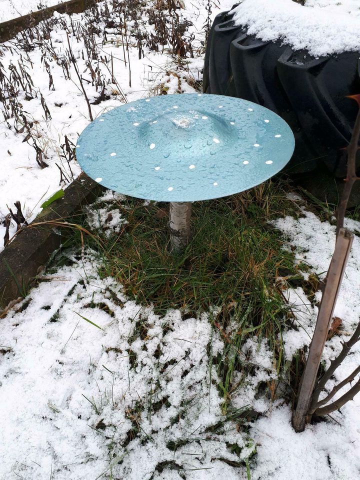 Fliegenpilz Garten Dekoration in Prießen