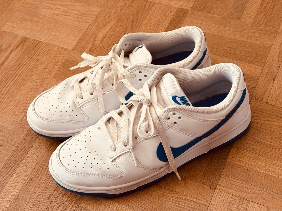 Nike Dunks Gr.43 in Gudensberg