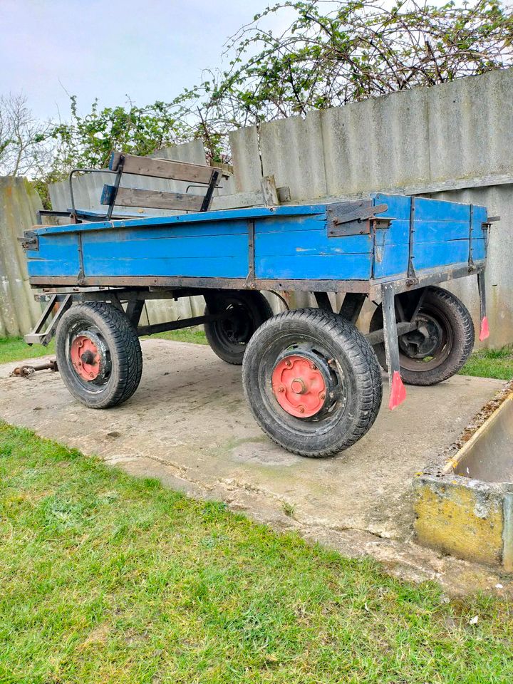 Pony/ Pferdewagen in Züssow