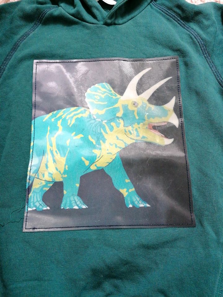 Pullover Hoodie Triceratops Wackelbild Gr. 116 in Bramsche