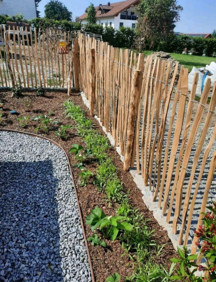 Staketenzaun aus Kastanienholz Edelkastanien Zaun Gartenzaun in Rimbach