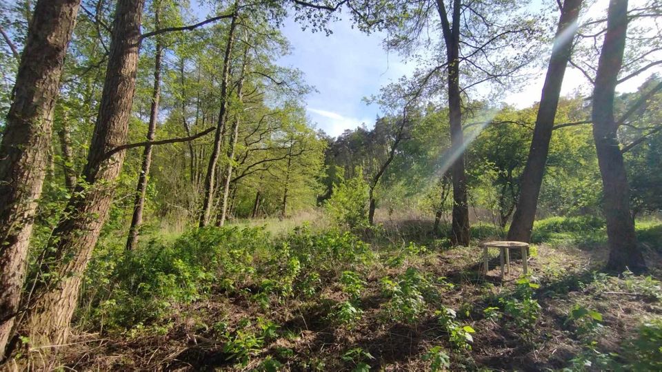 herrliches Seegrundstück in Polen, nähe Grenze Schwedt in Reutlingen