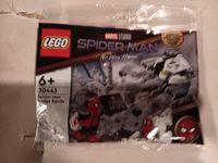 Lego 30443 Spiderman Bridge Battle Brückenkampf Marvel DC Neu OVP Dithmarschen - Buesum Vorschau