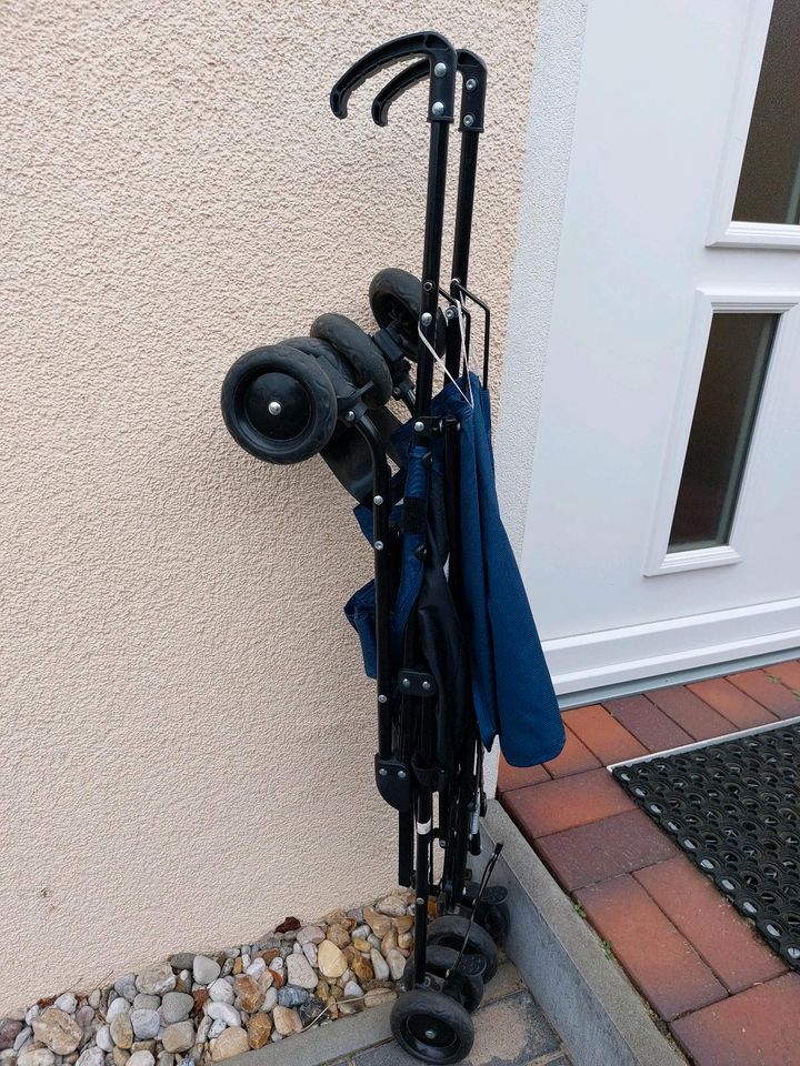 Buggy von Fillikid mit passendem Regenschutz(gute Zustand) in Berlin