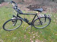 Trekking Bike von Giant Schleswig-Holstein - Schafstedt Vorschau