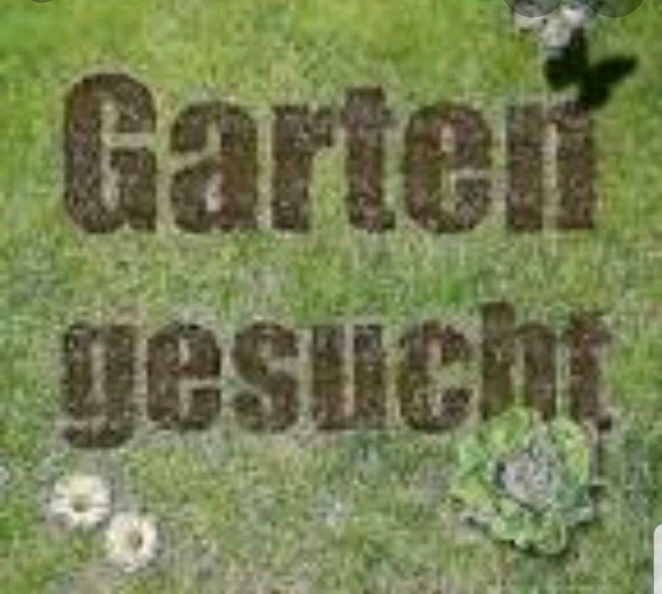 Schrebergarten zur Pacht/Miete gesucht in NordrheinWestfalen