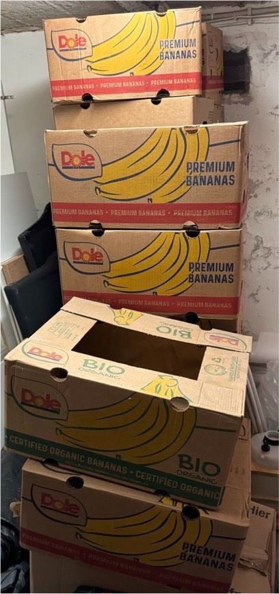 25 Bananenkartons 60 Umzugskartons Packpapier Zeitungspapier in Kleve