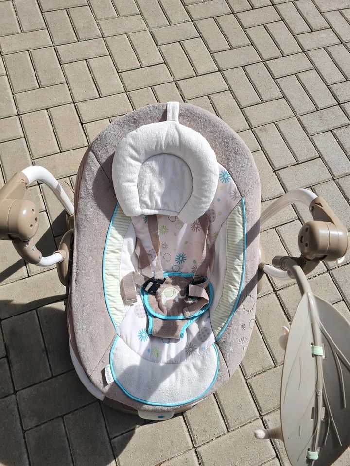 Babywippe Ingenuity in Reichenberg